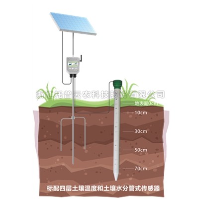 管式好色先生下载IOS墒情监测仪TPGSQ-4