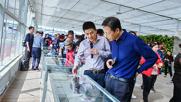 好色APP在线观看副总经理陈曦向培训班介绍托普智能终端 好色APP在线观看副总经理陈曦向培训班介绍托普智能终端