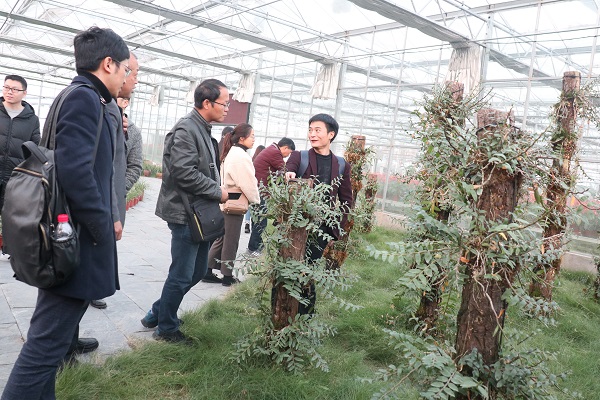 培训班参观好色APP在线观看临浦基地 培训班参观好色APP在线观看临浦基地