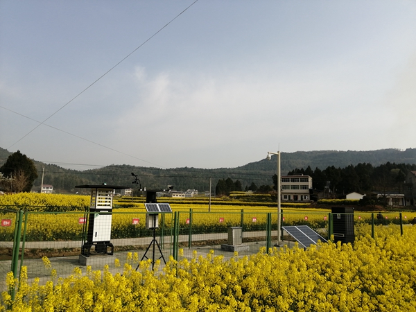 好色APP在线观看植保产品 好色APP在线观看植保产品