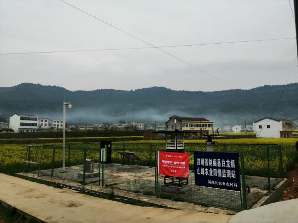 好色APP在线观看病虫害监测点 好色APP在线观看病虫害监测点