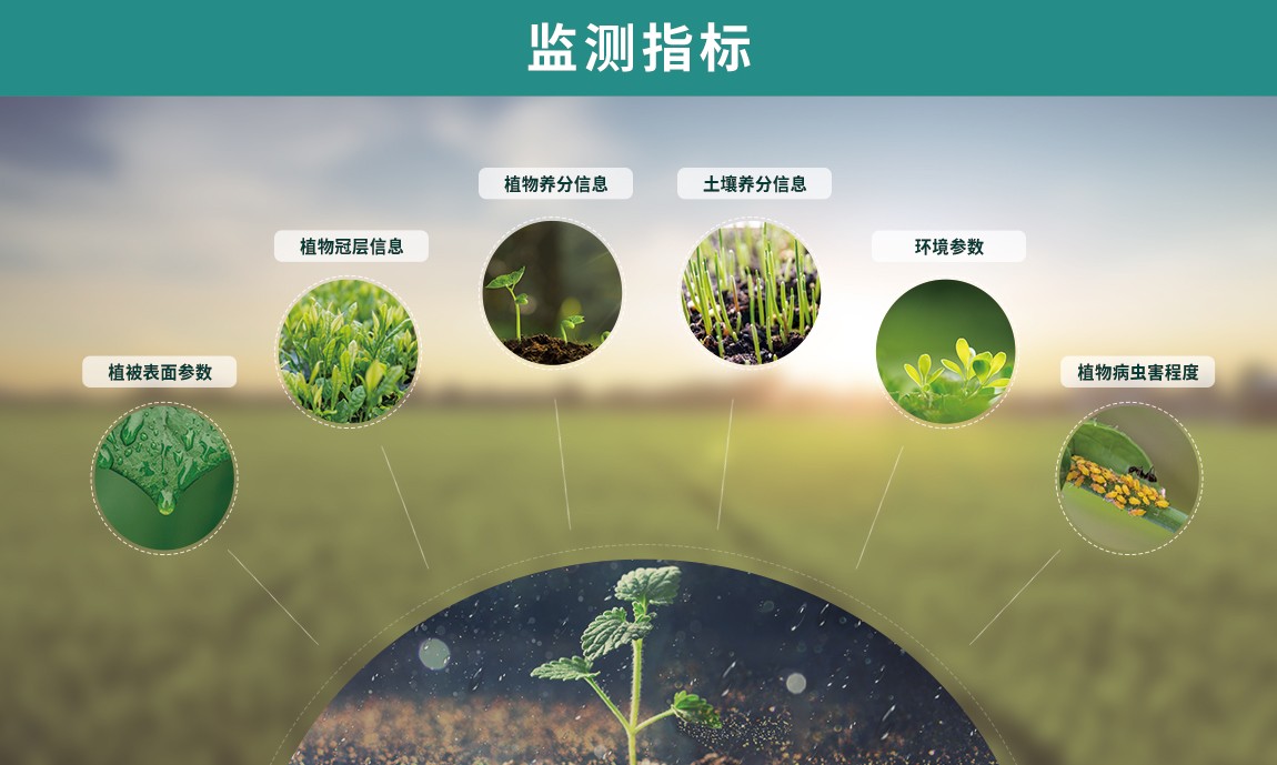 植物冠层图像分析仪监测指标 植物冠层图像分析仪监测指标
