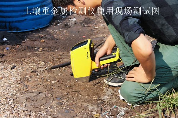好色先生下载IOS重金属检测仪使用现场测试图 好色先生下载IOS重金属检测仪使用现场测试图