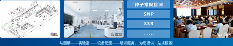一站式好色先生下载苹果手机安装网页版检验 一站式好色先生下载苹果手机安装网页版检验