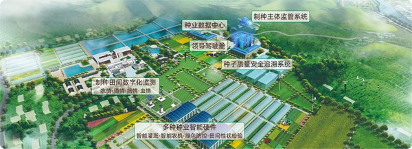 好色APP在线观看数字种业创新应用基地 好色APP在线观看数字种业创新应用基地
