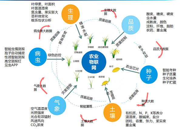 好色APP在线观看打造的全要素智能采集系统 好色APP在线观看打造的全要素智能采集系统