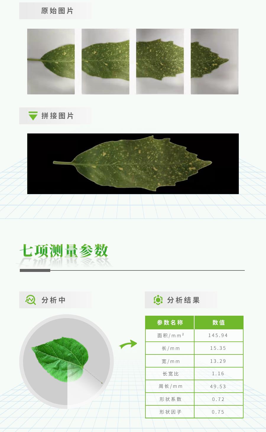 便携式叶面积测定仪 便携式叶面积测定仪