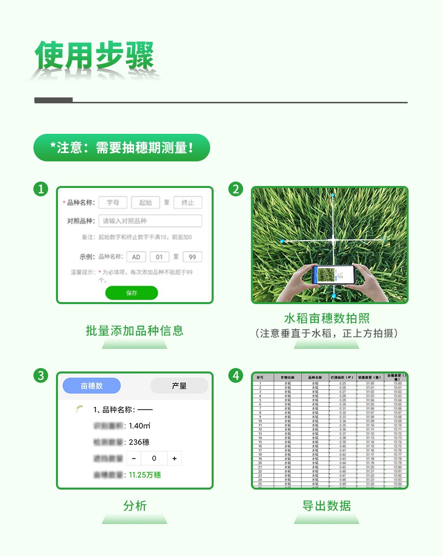 水稻亩穗数测量系统 水稻亩穗数测量系统