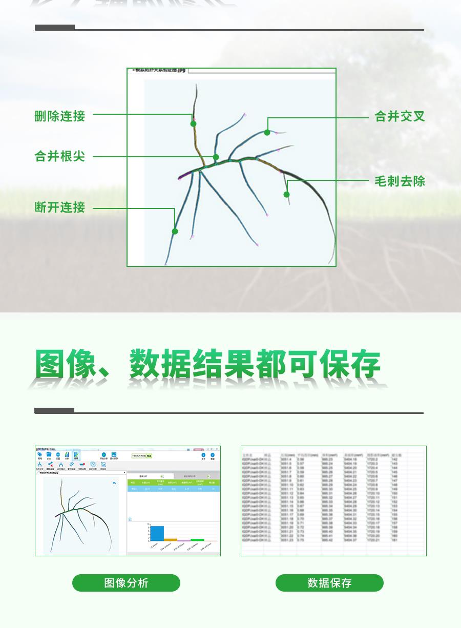 植物根系分析仪 植物根系分析仪