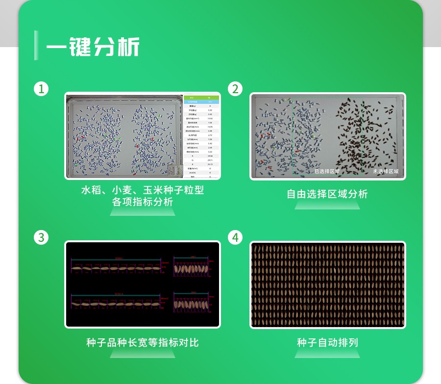 智能考种分析系统 智能考种分析系统