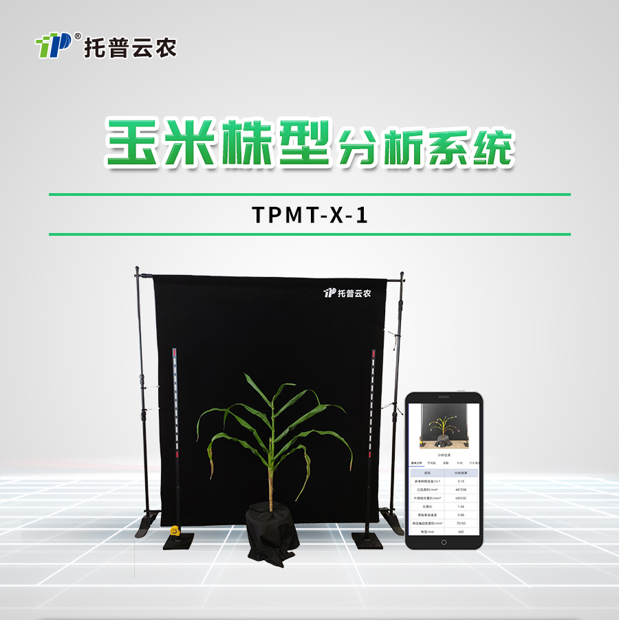 玉米株型分析系统 玉米株型分析系统