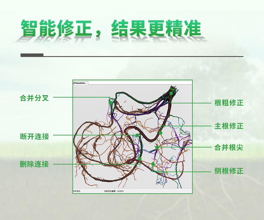 根系分析系统 根系分析系统