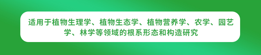 根系分析系统 根系分析系统