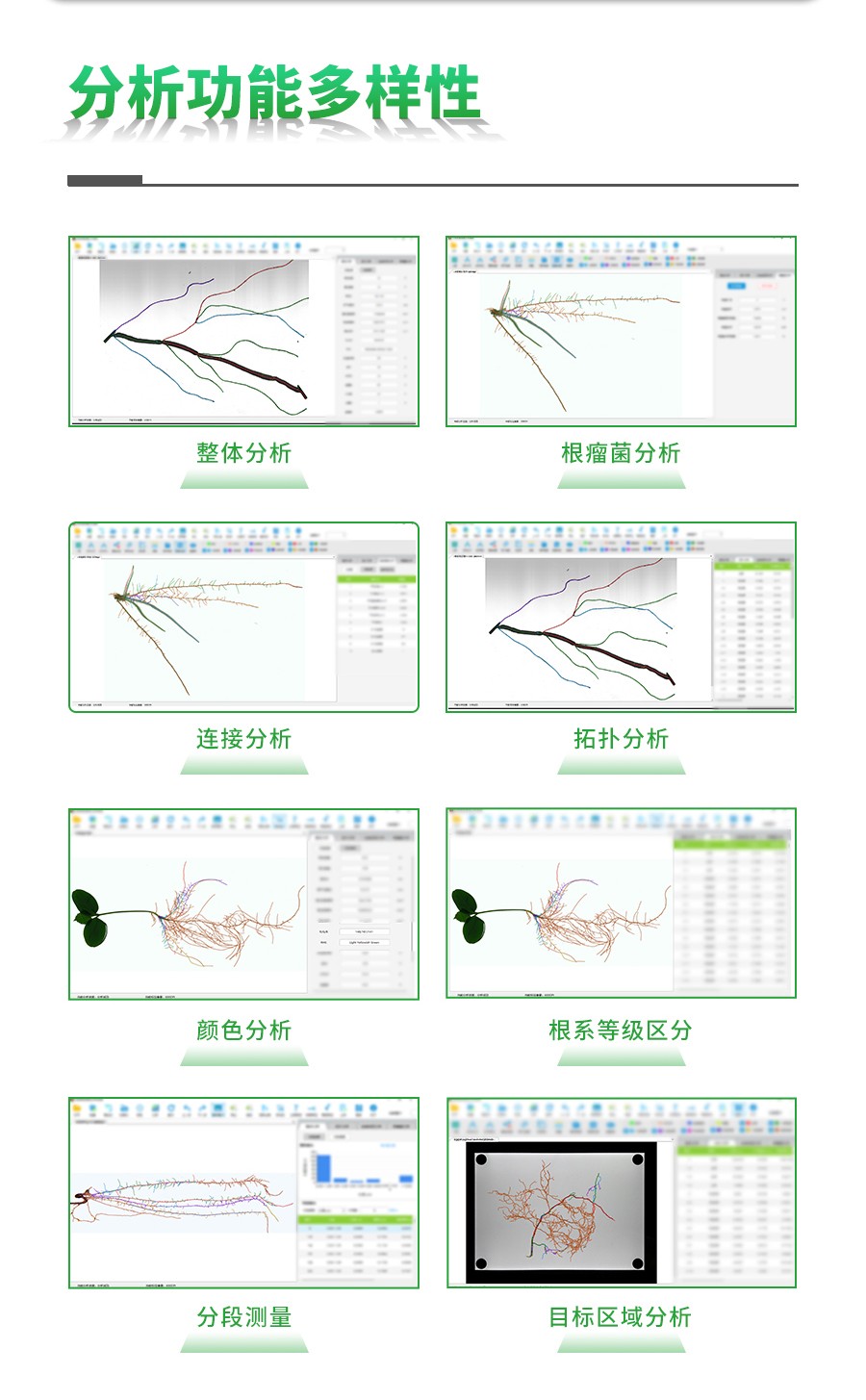 根系分析系统 根系分析系统