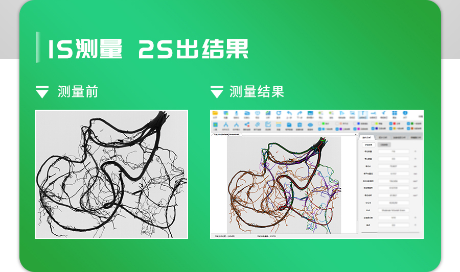 根系分析系统 根系分析系统