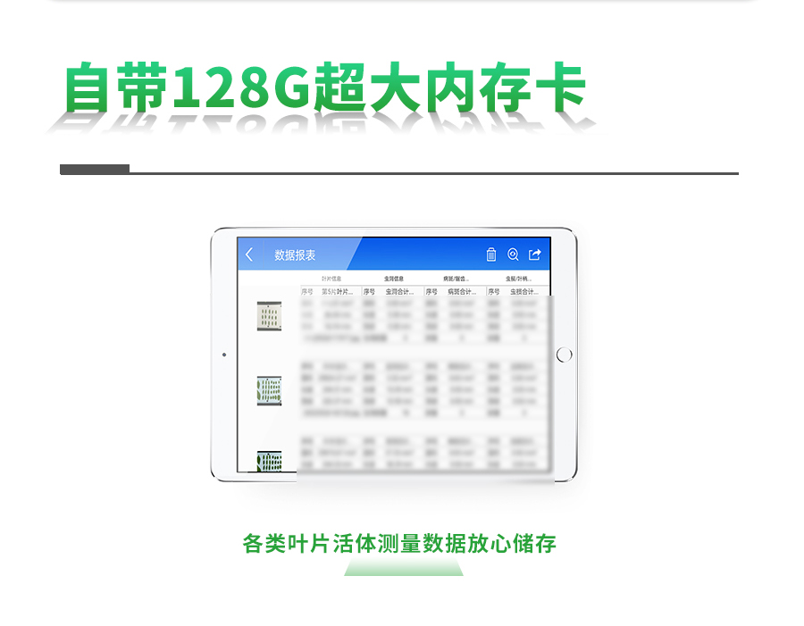 智能叶面积测量仪 智能叶面积测量仪