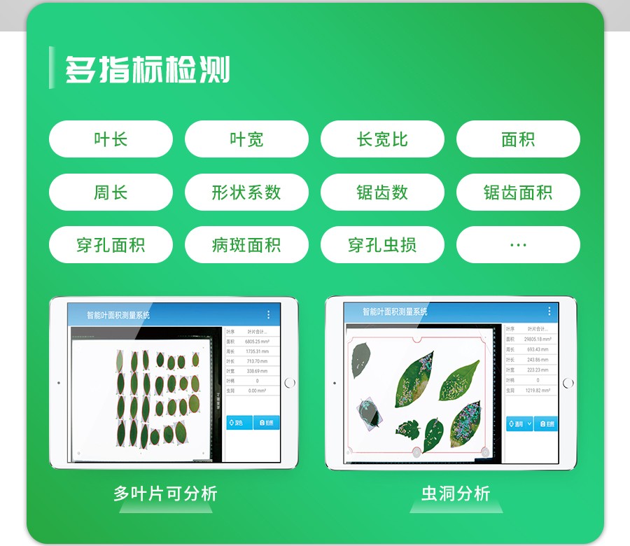 智能叶面积测量仪 智能叶面积测量仪