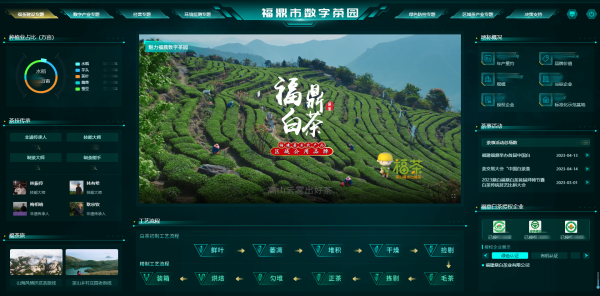 1716885973667659.png 2福鼎数字茶园_副本.png