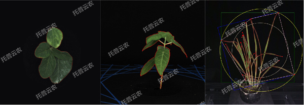 1722996294924094.jpg 温室型高通量植物表型采集分析平台-2维.jpg