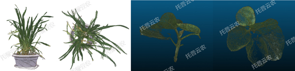 1722996303370935.jpg 温室型高通量植物表型采集分析平台-3维.jpg