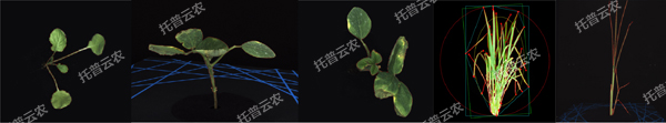 1723009884279987.jpg 逆境模拟及植物生长监测平台-2维.jpg