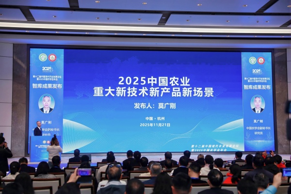 1764124415593634.jpg 2_副本.jpg